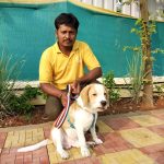petwags-thane-dog-creche-bn6cajfmtz
